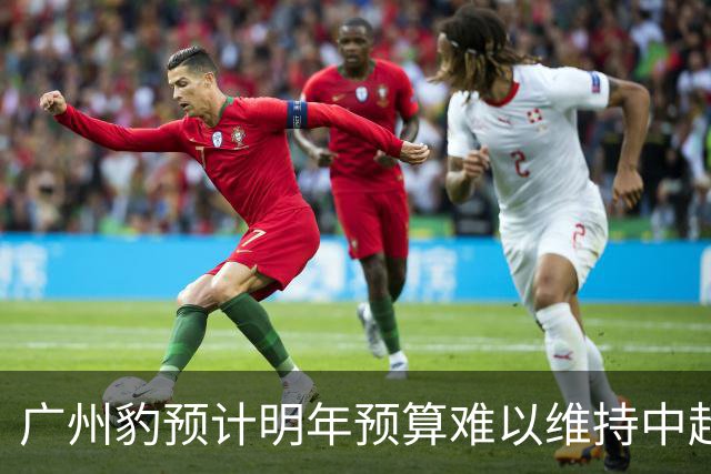 广州豹预计明年预算难以维持中超运营
